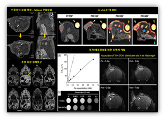 소동물 MRI 예시
