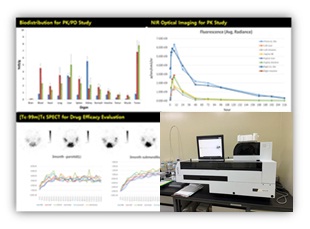 Biodistribution (%ID/g) & PK/PD study 그래프 예시