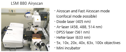 ISM 880 Airyscan -Airyscan and Fast Airyscan mode (confocal mode possible)
								-Diode laser (405 nm)
								-Arlaser (458. 488. 514 nm)
								-DPSS-laser (561 nm)
								-HeNe-laser (633 nm)
							    -5x, 10x, 20x, 40x, 63x. 100x objectives
								-Mini incubator