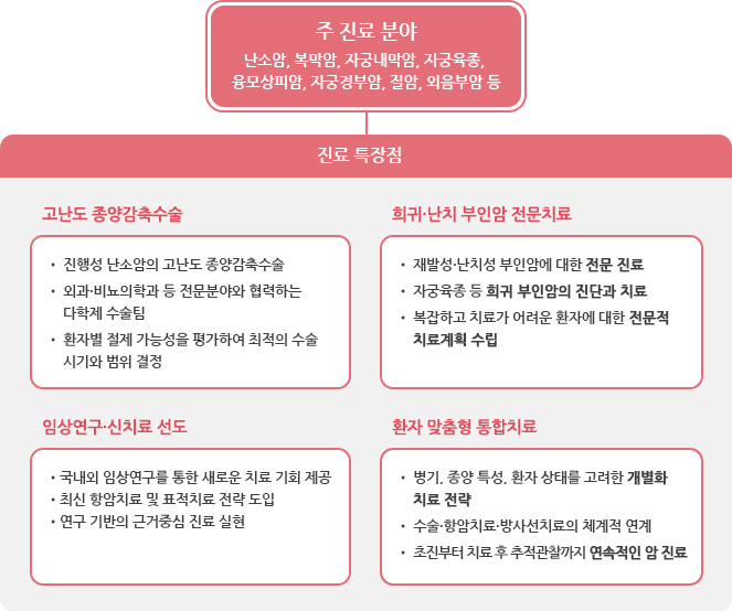 주 진료 분야 (난소암, 복막암, 자궁내막암, 자궁육종, 융모상피암, 자궁경부암, 질암, 외음부암 등) 진료 특장점